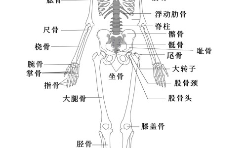 澳佳宝孕妇黄金营养素-权威澳佳宝孕妇黄金营养素真假对照图片平台,分享专业有没有孕妈吃澳洲黄金素吃到生的知识_澳佳宝孕妇黄金素吃法网