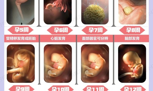 澳佳宝孕妇黄金营养素-权威澳佳宝孕妇黄金营养素真假对照图片平台,分享专业有没有孕妈吃澳洲黄金素吃到生的知识_澳佳宝孕妇黄金素吃法网